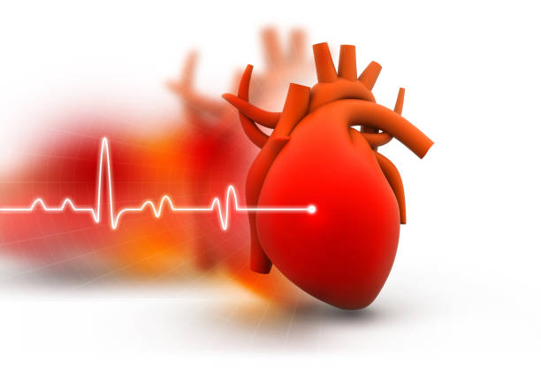 Perfusion Logo
